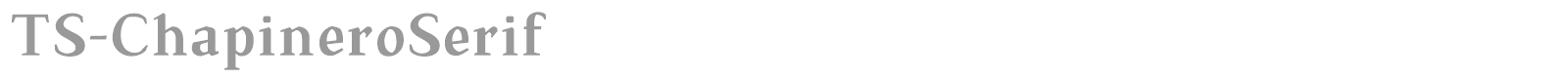 TS Chapinero Serif font preview